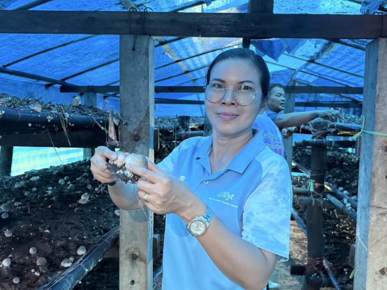 ภาพประกอบที่ 1