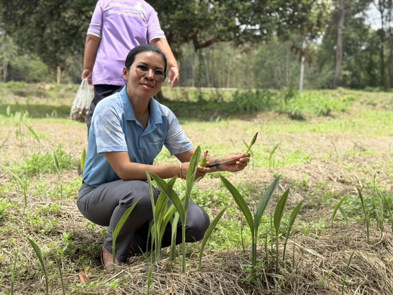 ภาพประกอบที่ 3