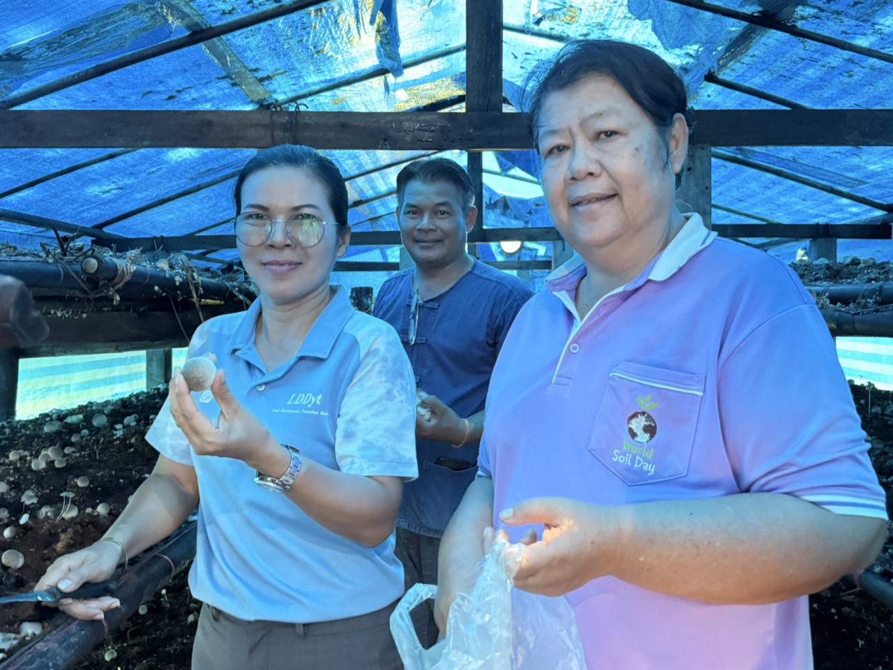 ภาพประกอบที่ 4