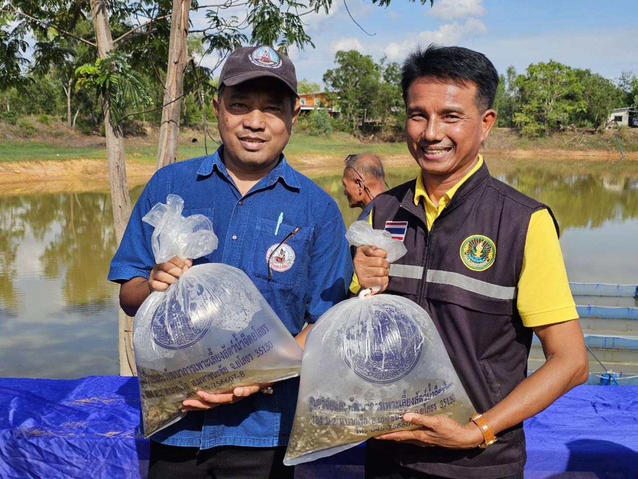 ภาพประกอบที่ 1