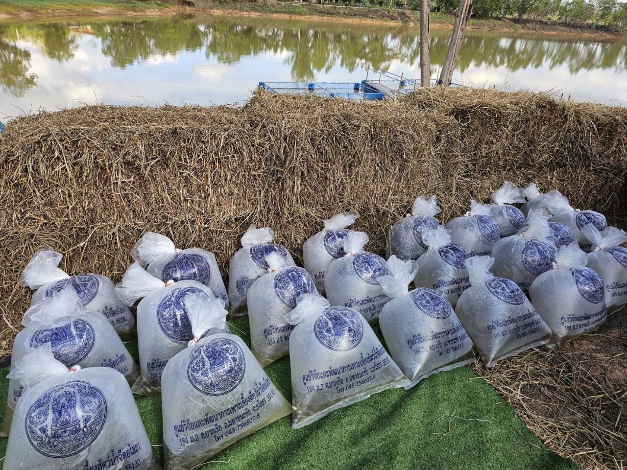 ภาพประกอบที่ 2