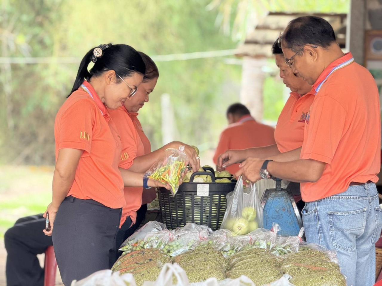 ภาพประกอบที่ 19