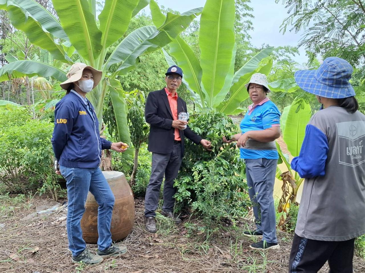 ภาพประกอบที่ 3