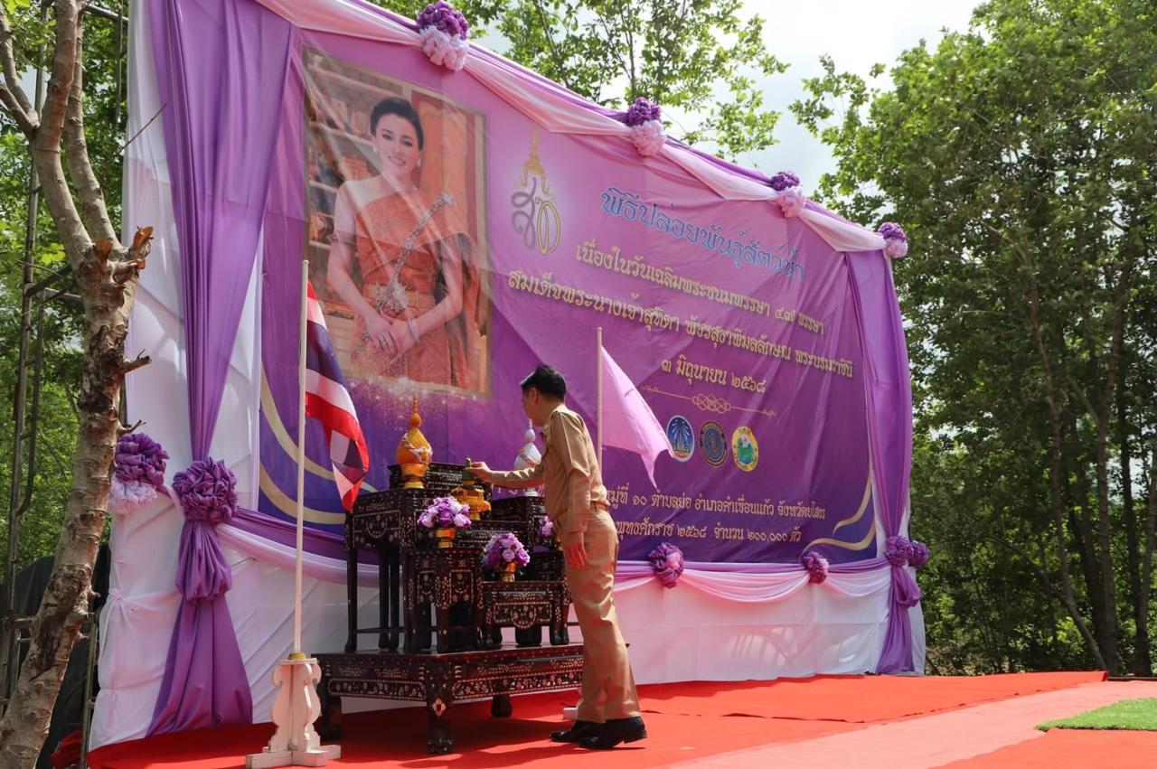 ภาพประกอบที่ 0