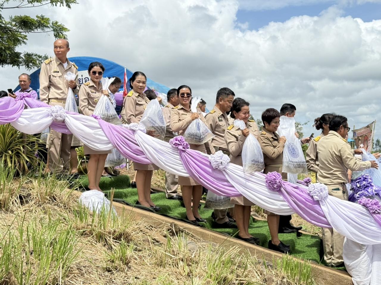 ภาพประกอบที่ 7