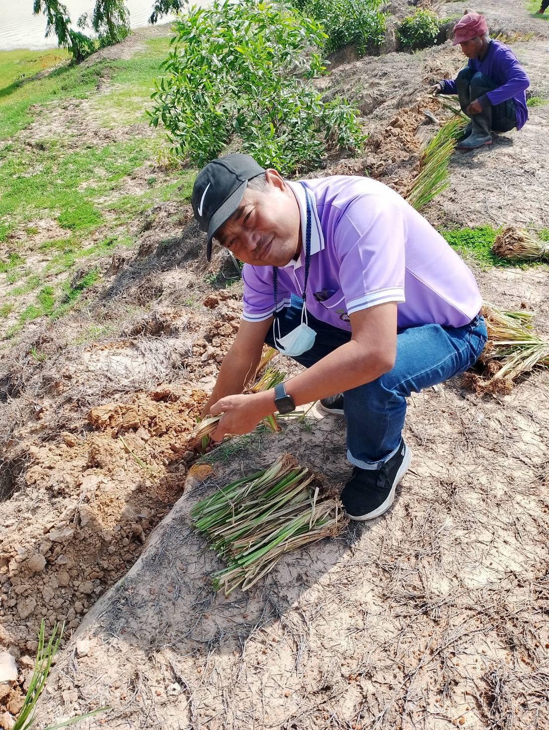 ภาพประกอบที่ 0