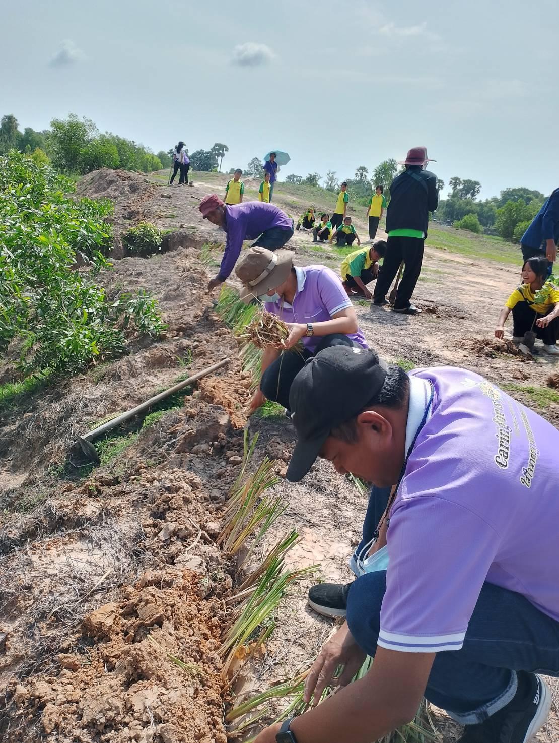 ภาพประกอบที่ 3