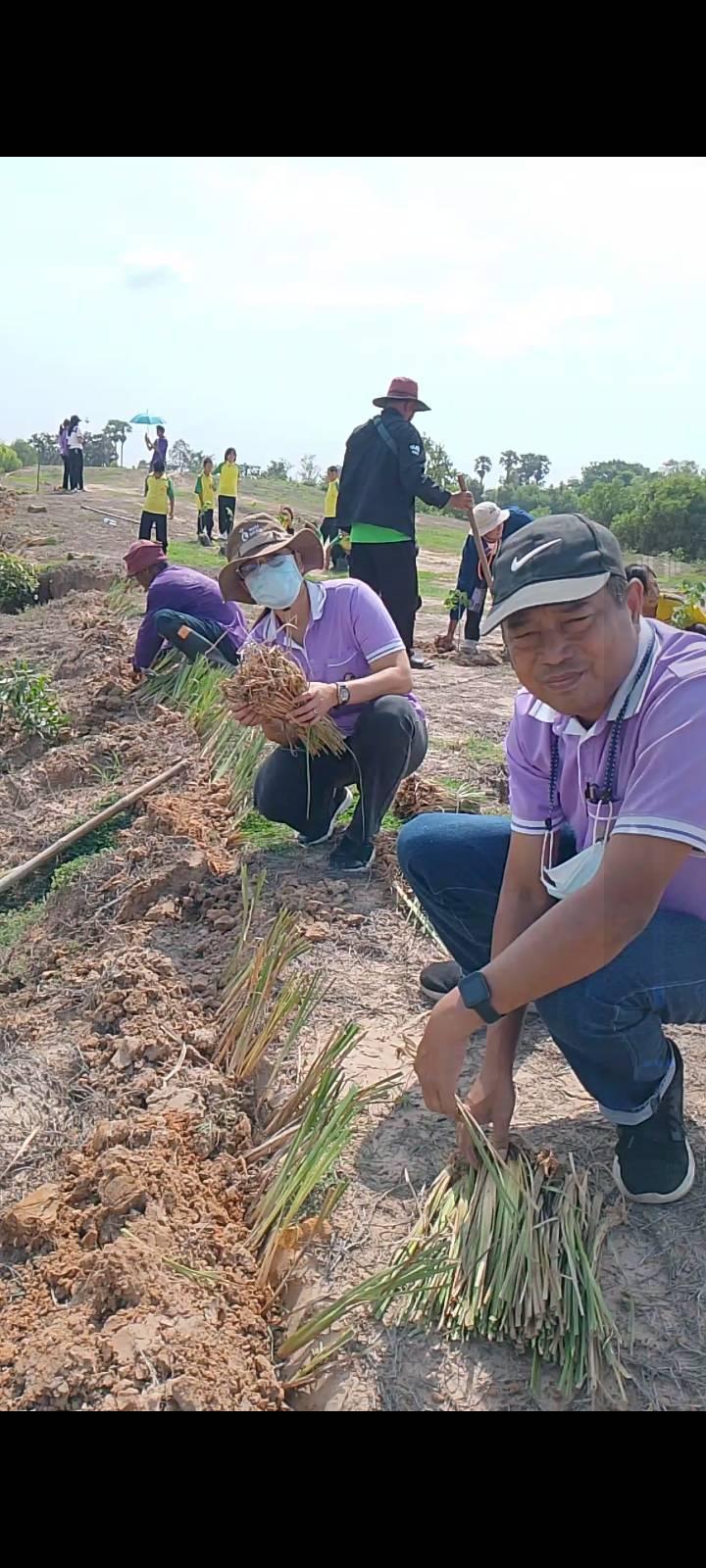 ภาพประกอบที่ 7