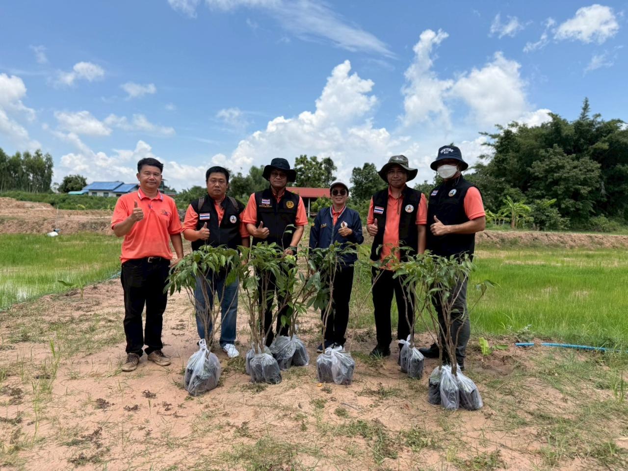 ภาพประกอบที่ 5