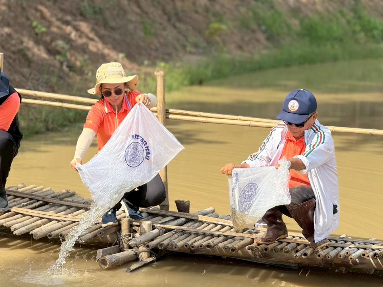 ภาพประกอบที่ 7