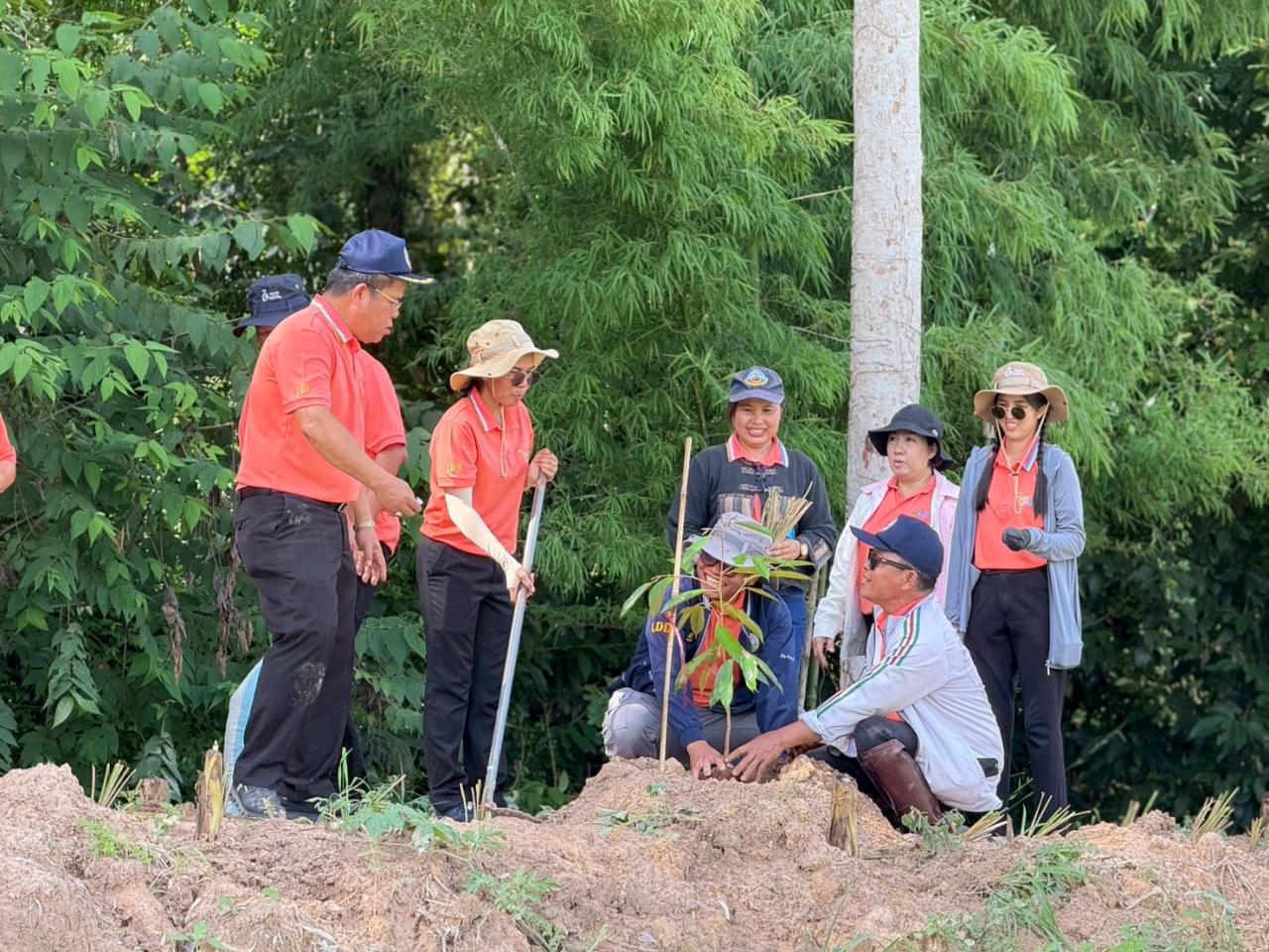 ภาพประกอบที่ 8