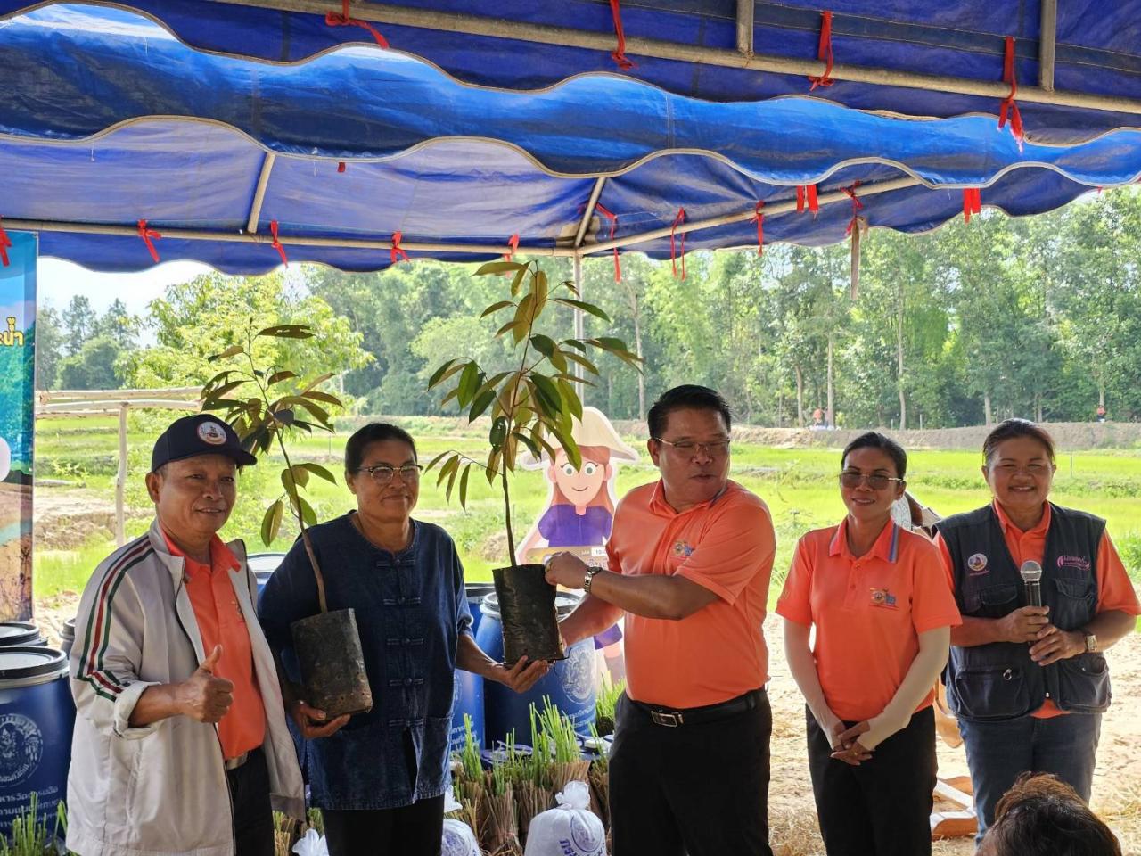 ภาพประกอบที่ 11