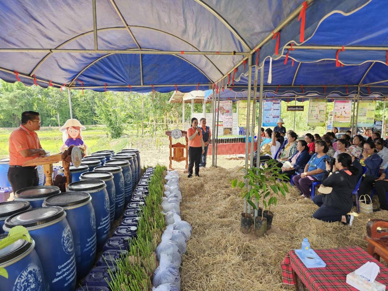 ภาพประกอบที่ 13