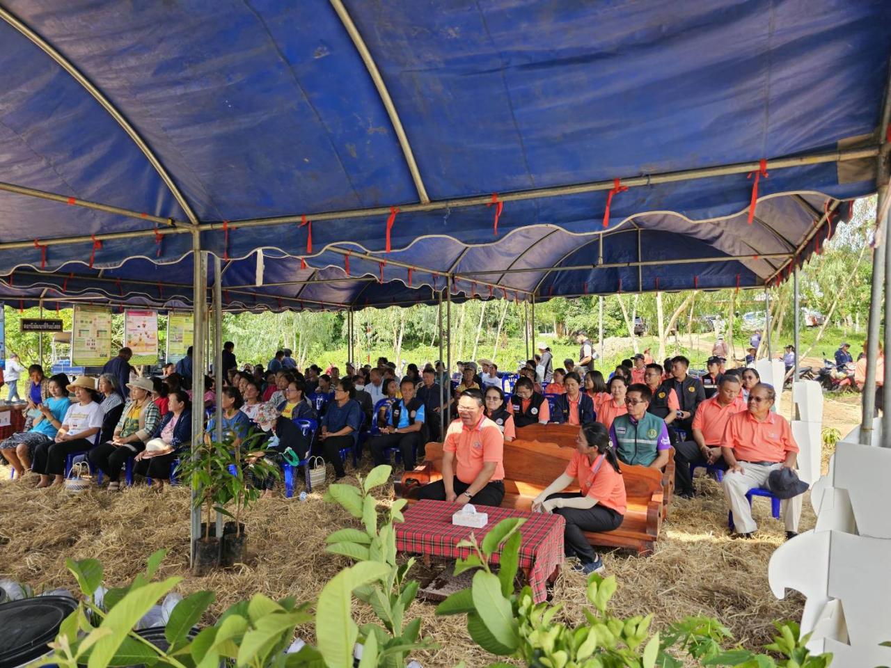 ภาพประกอบที่ 15