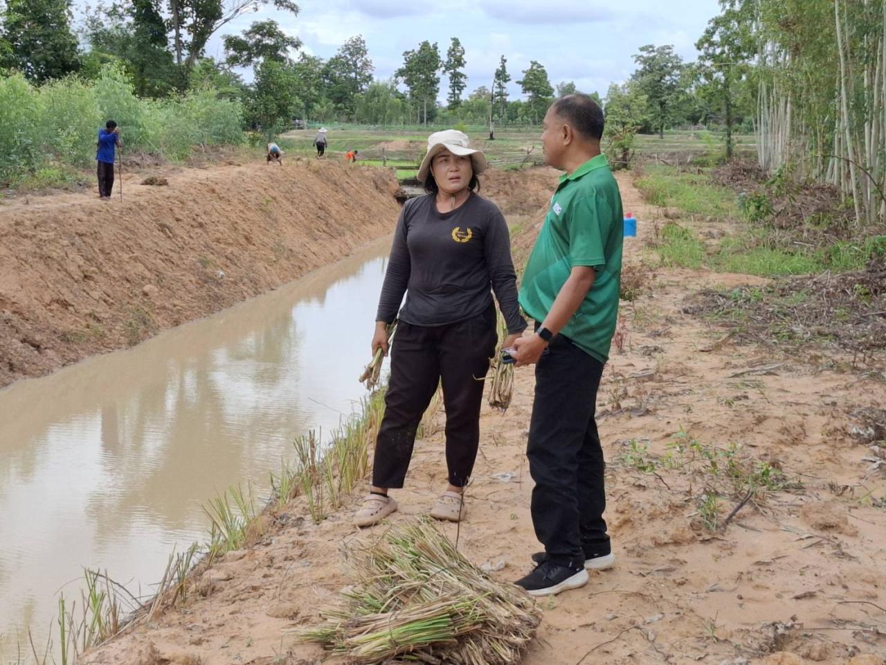 ภาพประกอบที่ 0