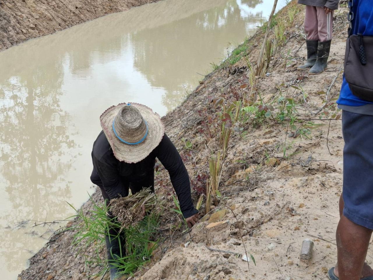 ภาพประกอบที่ 2