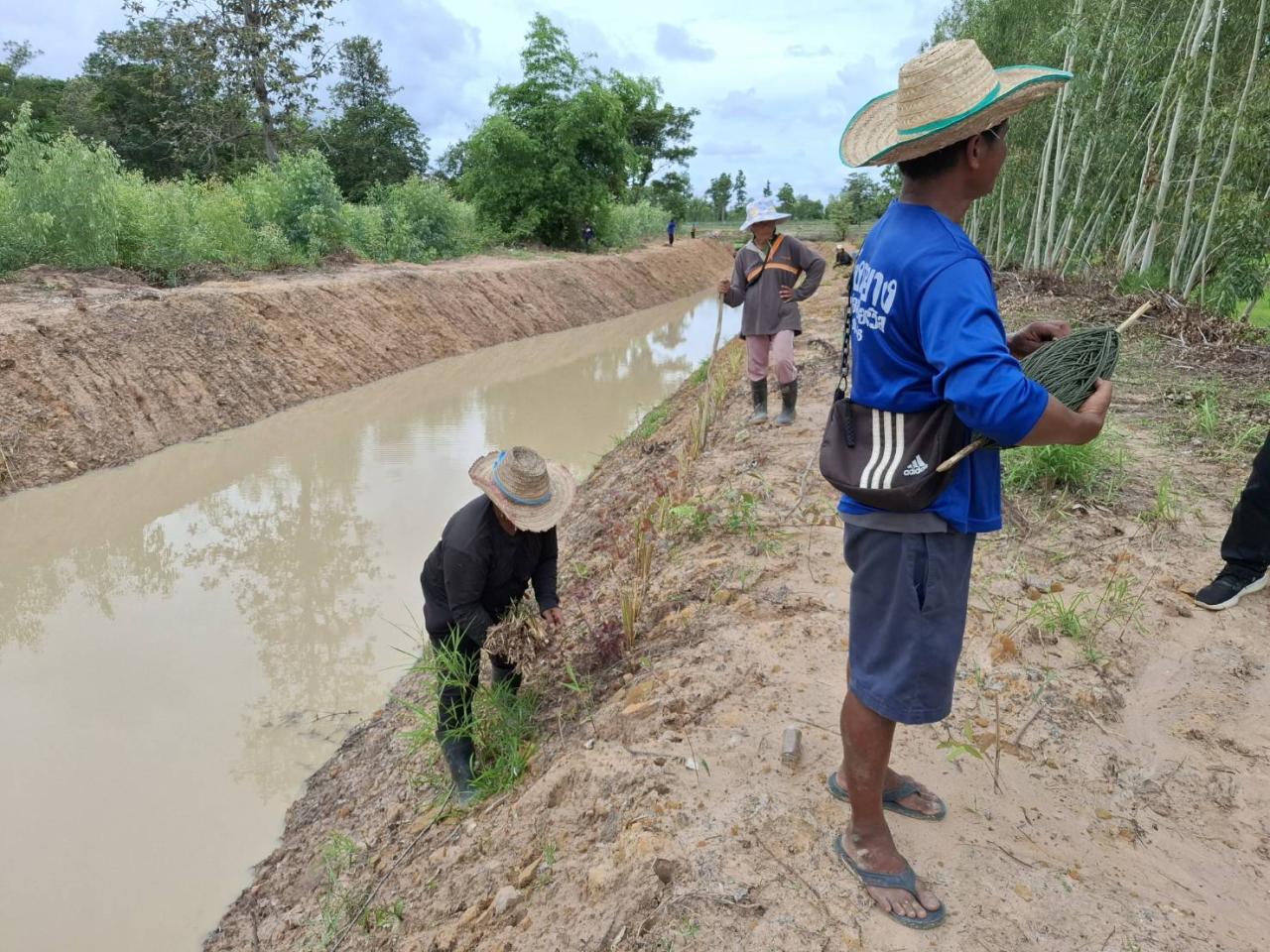 ภาพประกอบที่ 4