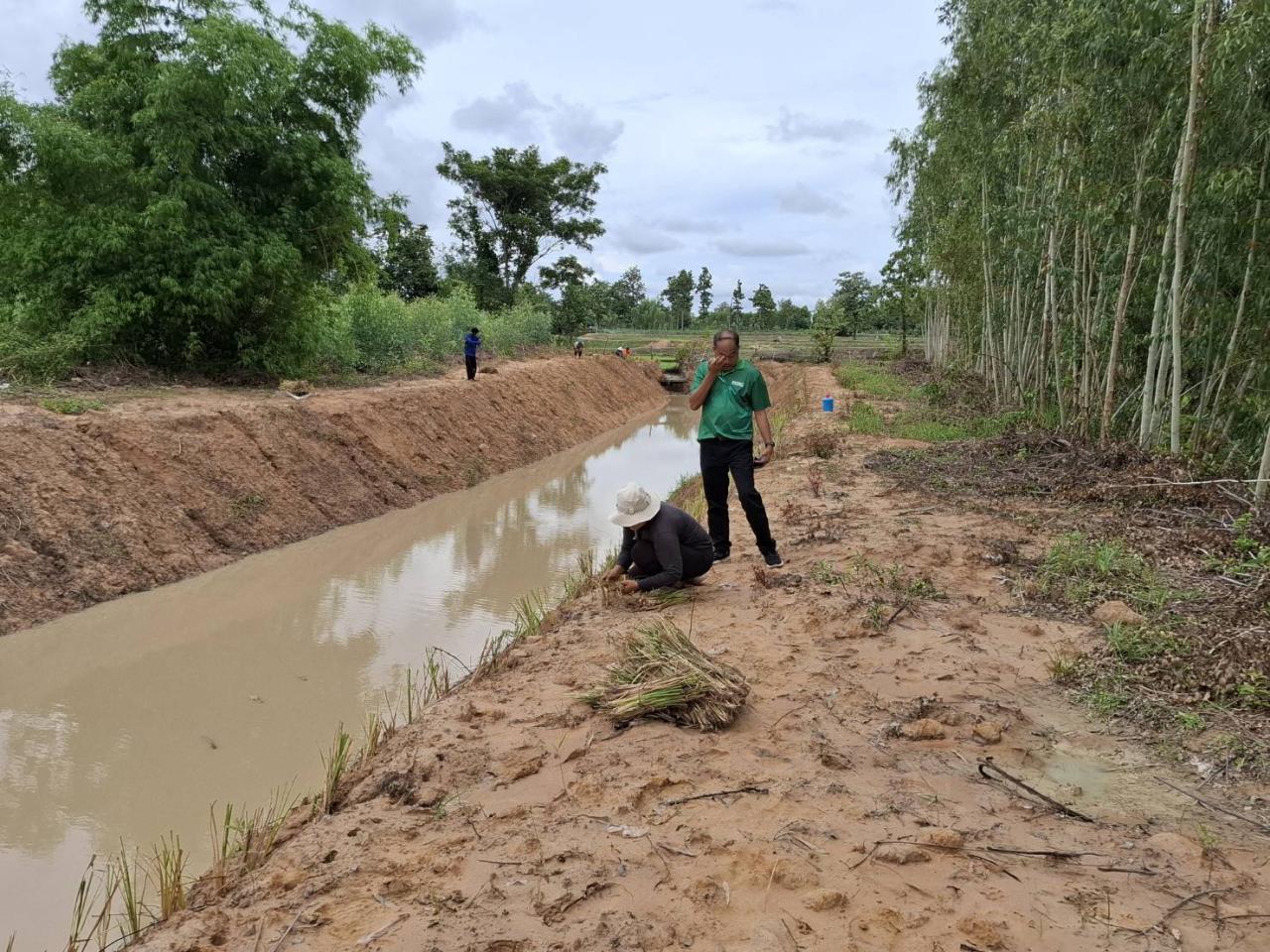 ภาพประกอบที่ 5