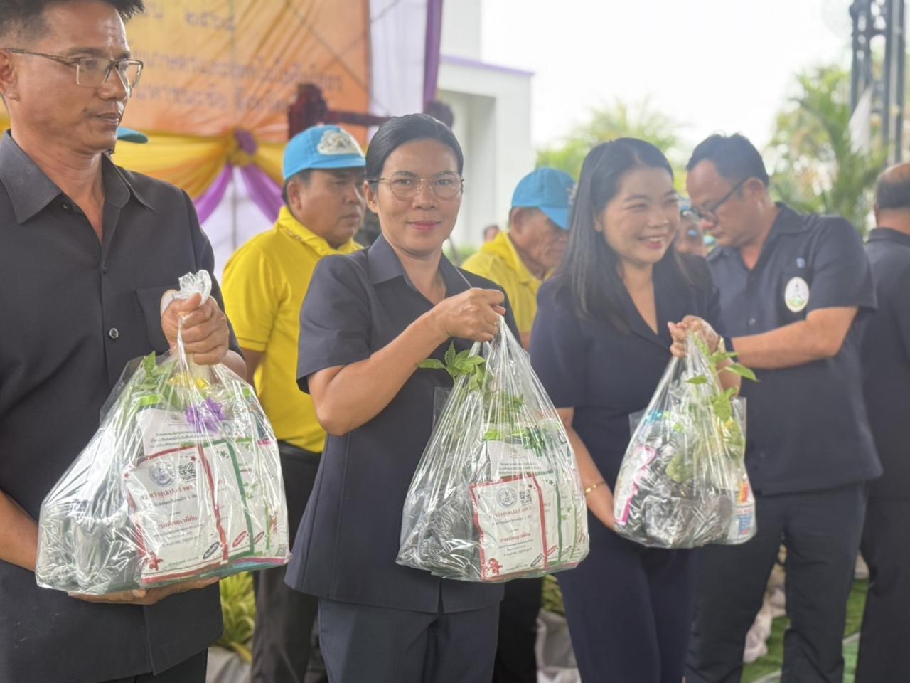 ภาพประกอบที่ 3