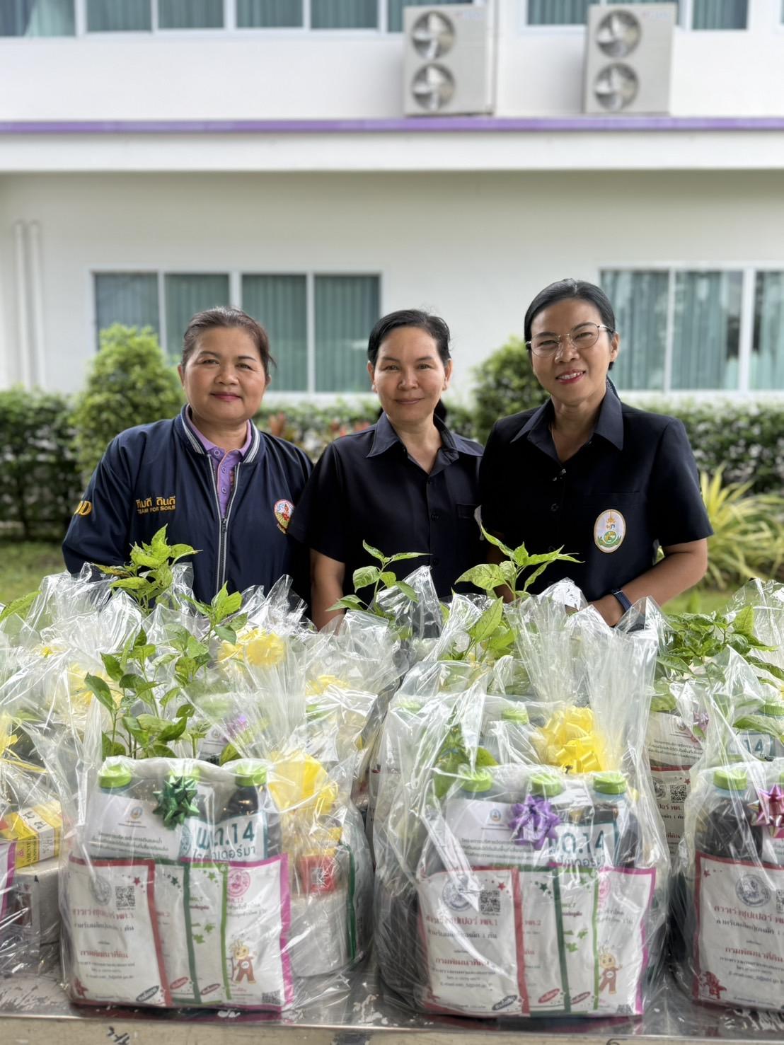 ภาพประกอบที่ 6