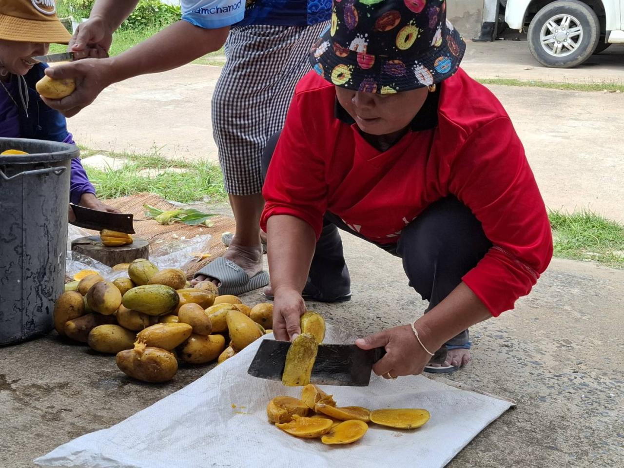 ภาพประกอบที่ 2
