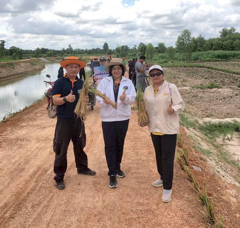 ภาพประกอบที่ 2