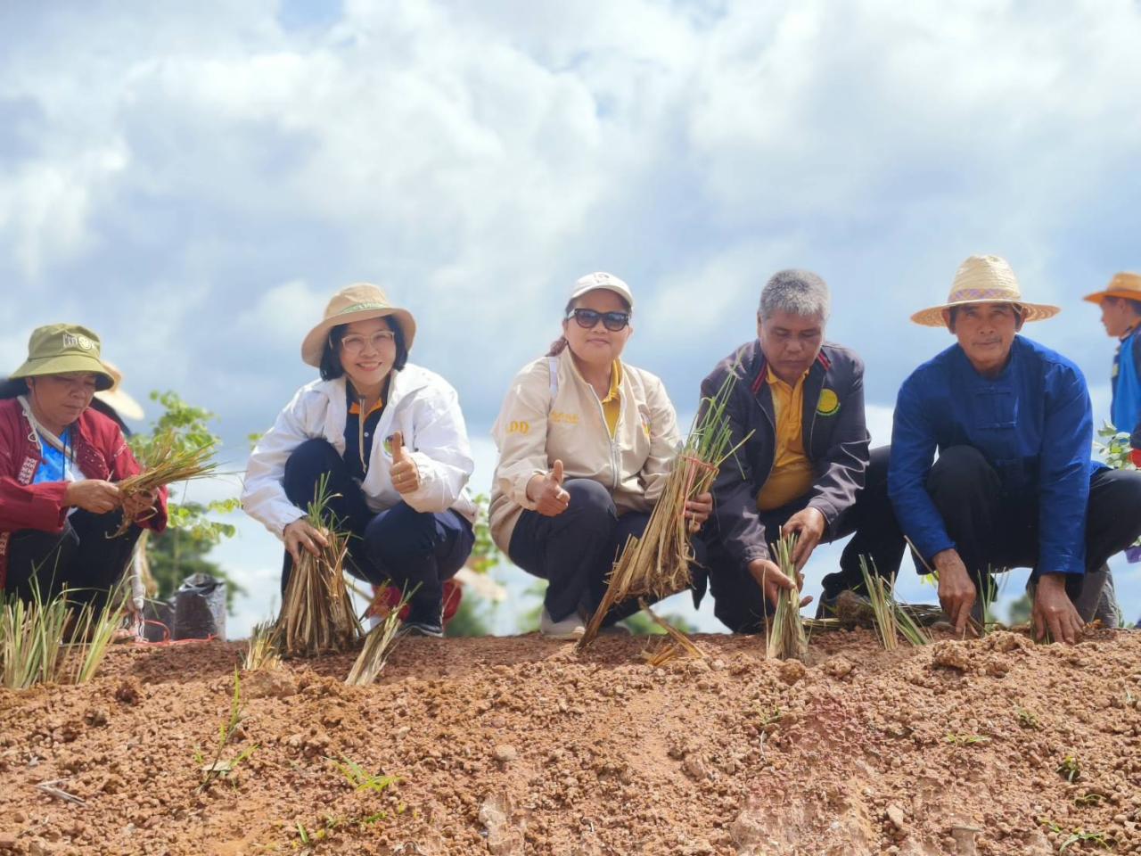 ภาพประกอบที่ 7