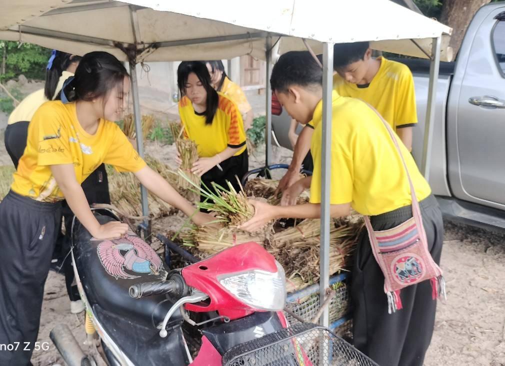 ภาพประกอบที่ 1