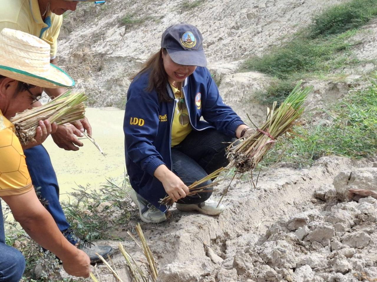 ภาพประกอบที่ 6