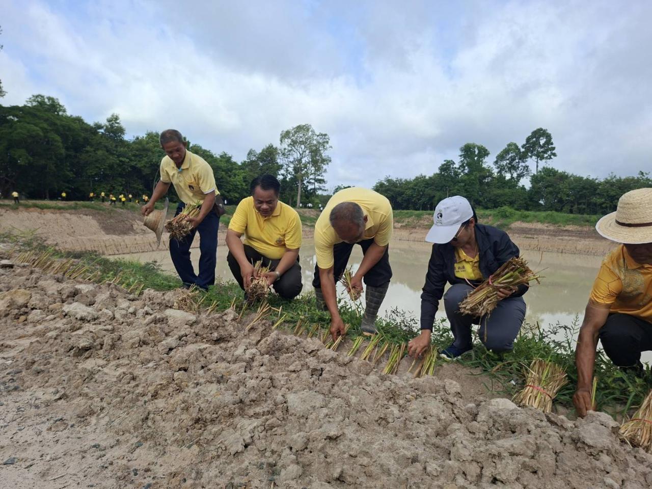 ภาพประกอบที่ 10