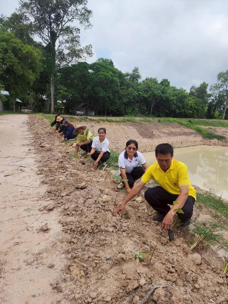 ภาพประกอบที่ 11