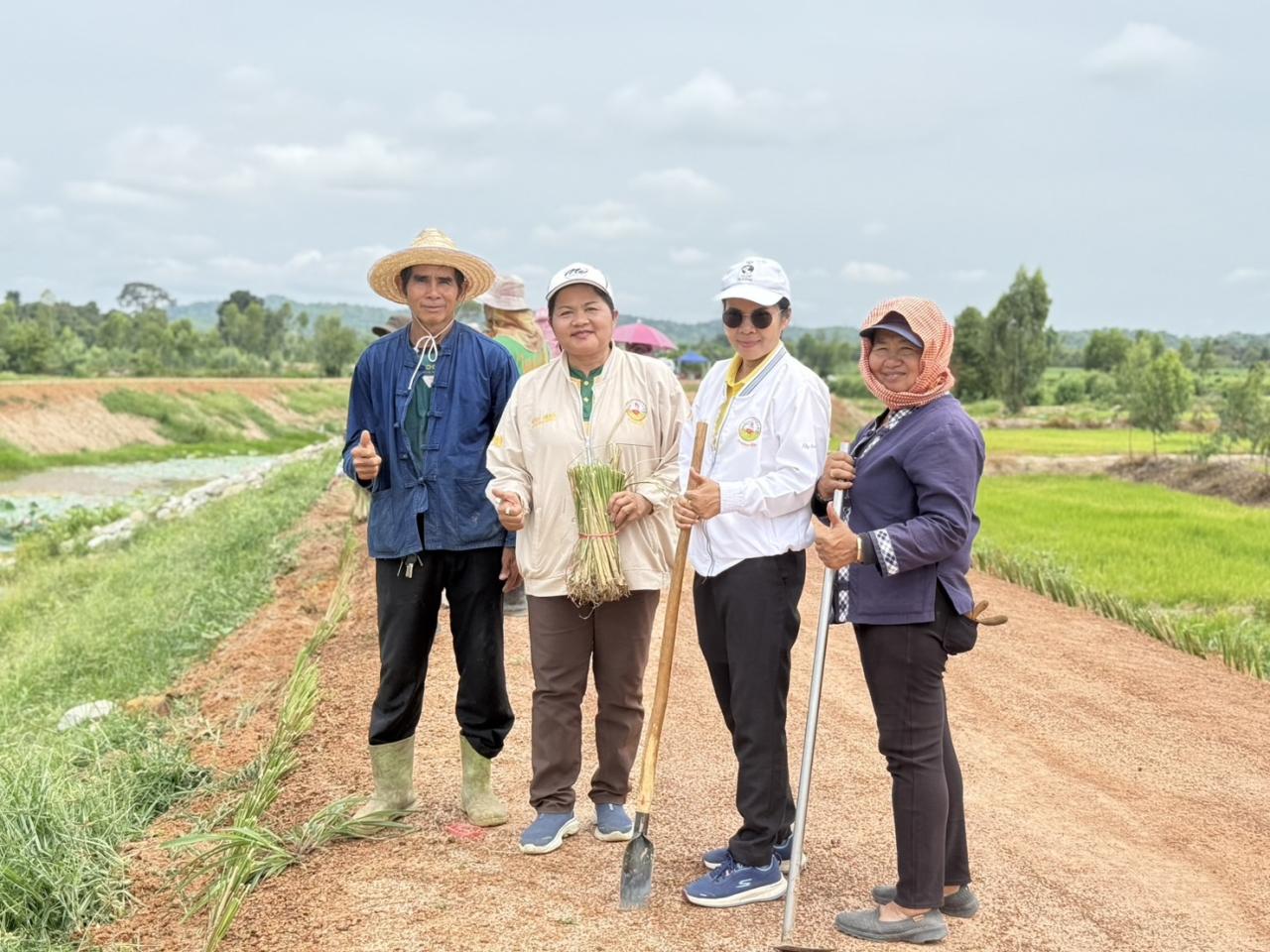 ภาพประกอบที่ 3