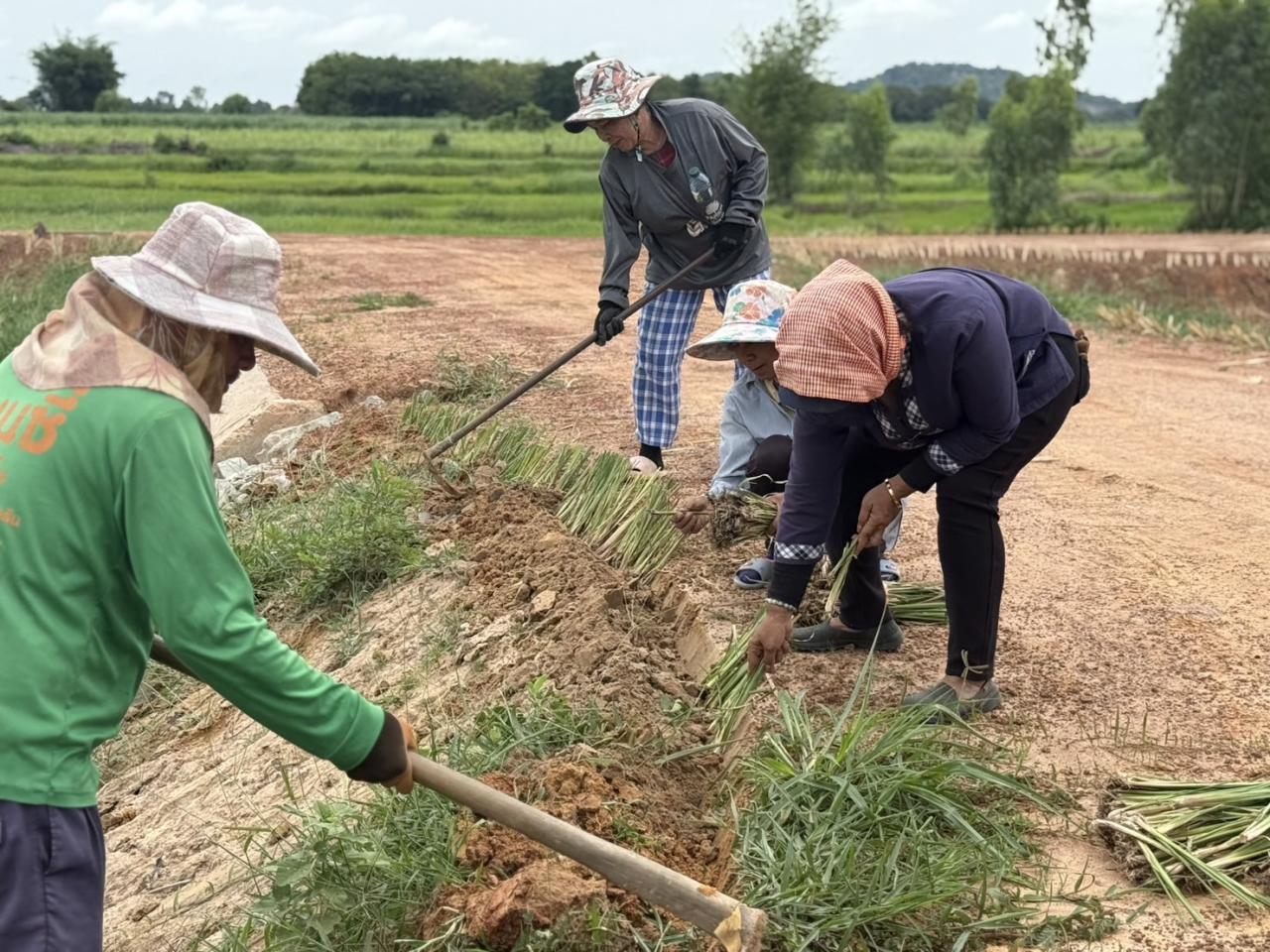 ภาพประกอบที่ 10