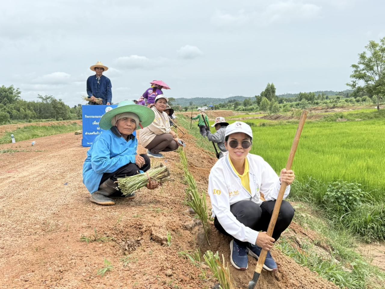 ภาพประกอบที่ 11