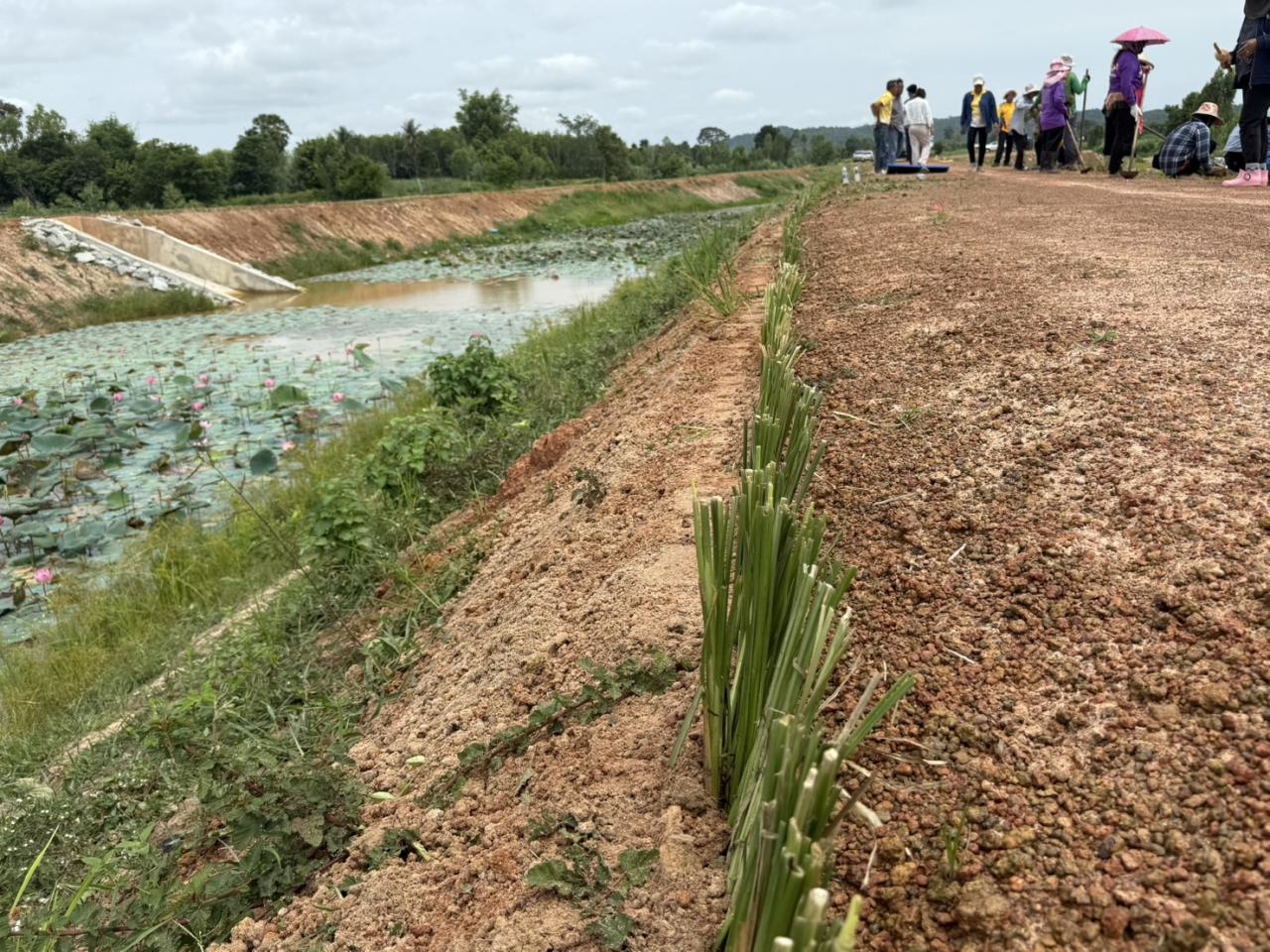 ภาพประกอบที่ 12