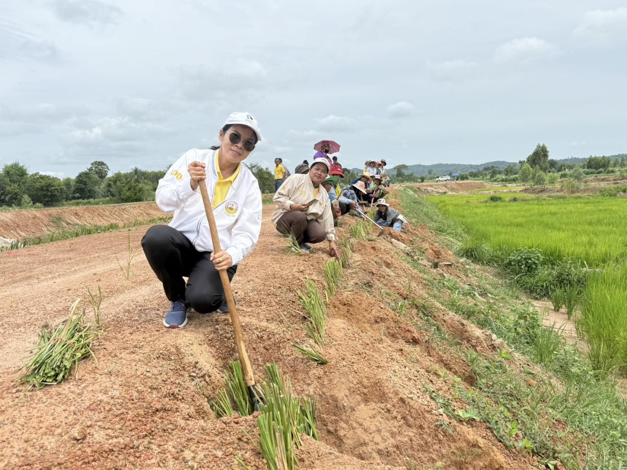 ภาพประกอบที่ 13