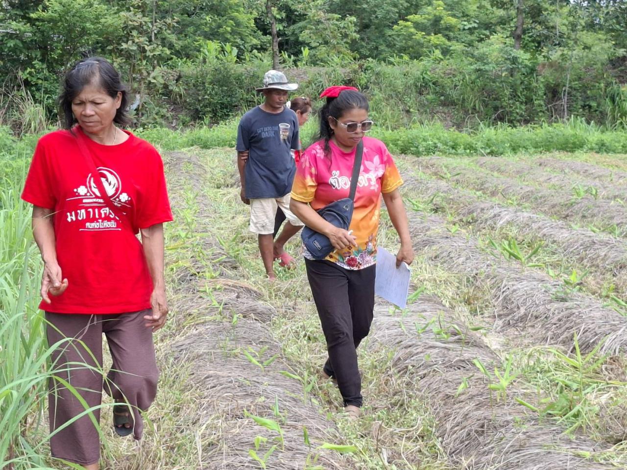 ภาพประกอบที่ 7
