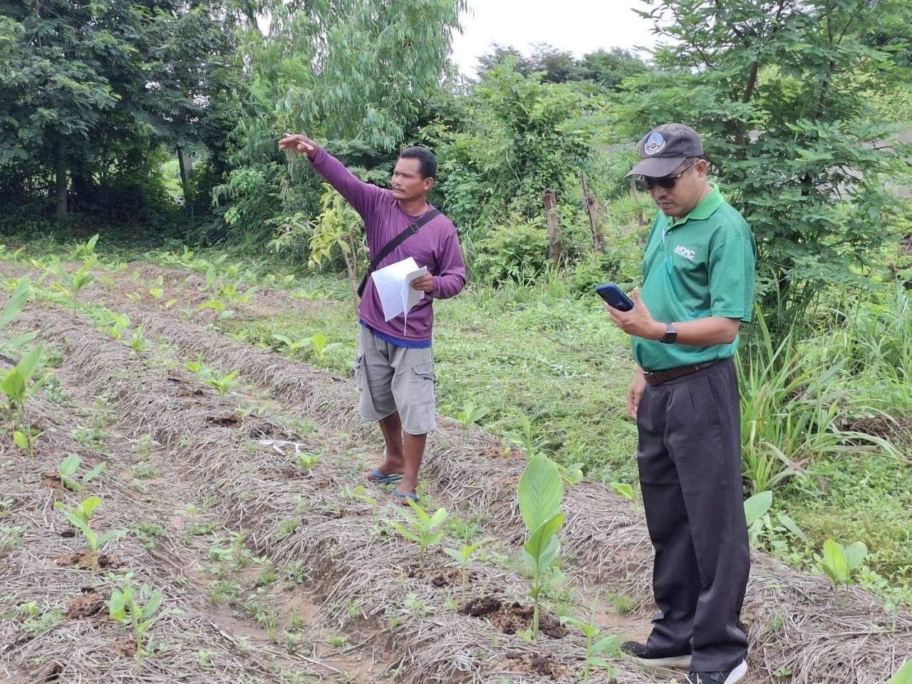 ภาพประกอบที่ 5