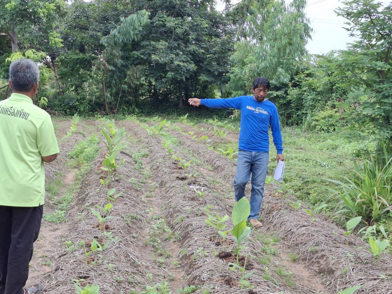 ภาพประกอบที่ 6