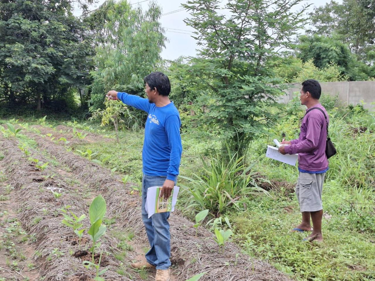 ภาพประกอบที่ 7