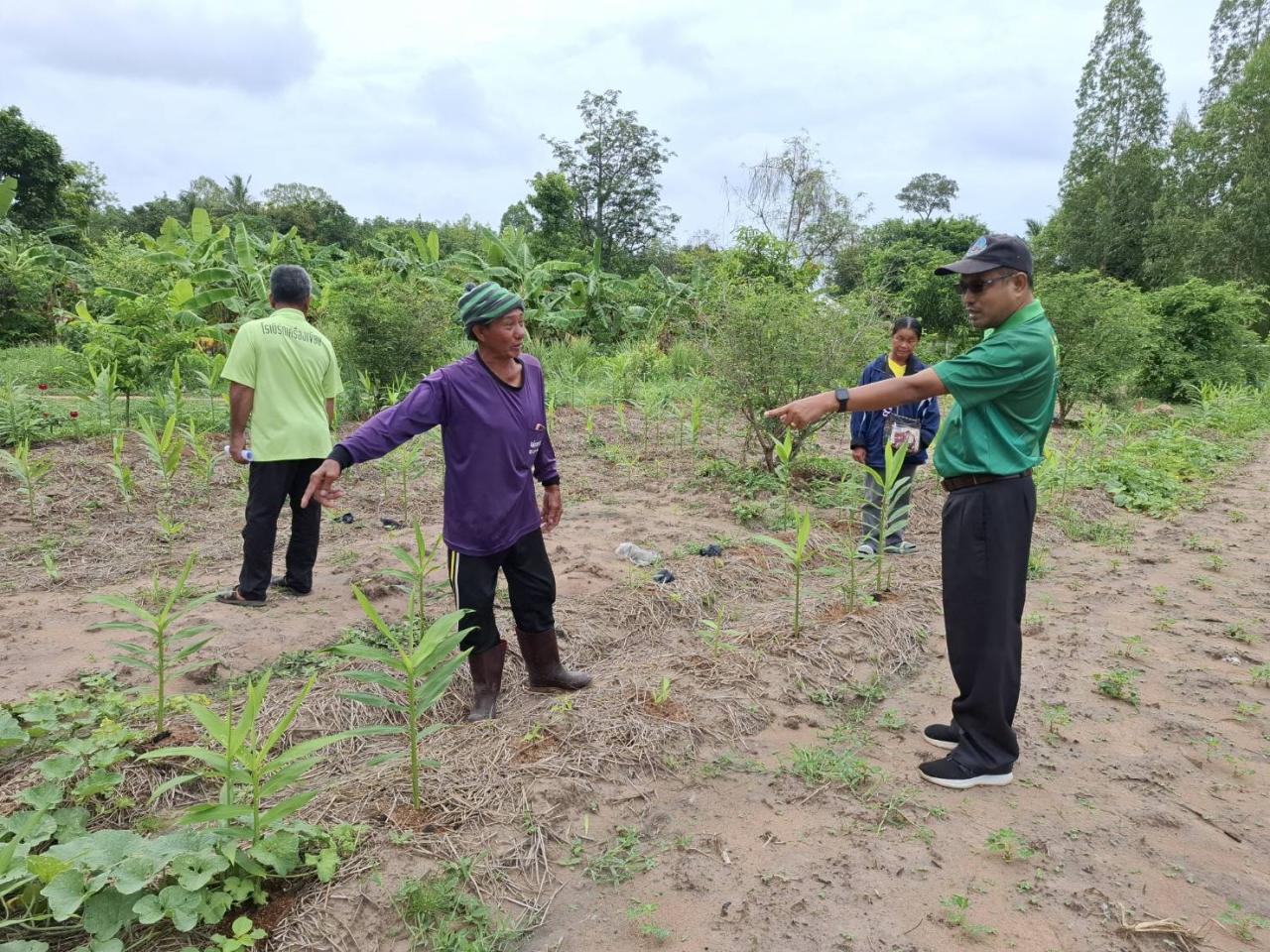 ภาพประกอบที่ 8