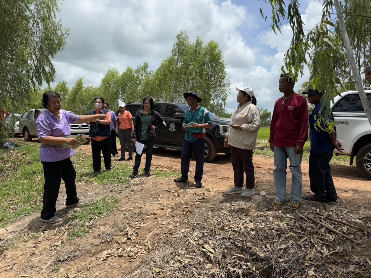 ภาพประกอบที่ 6