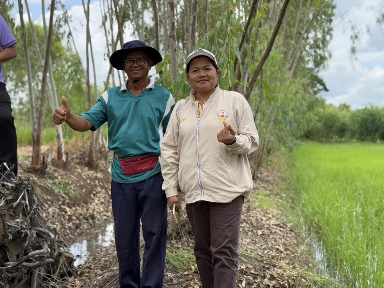ภาพประกอบที่ 7