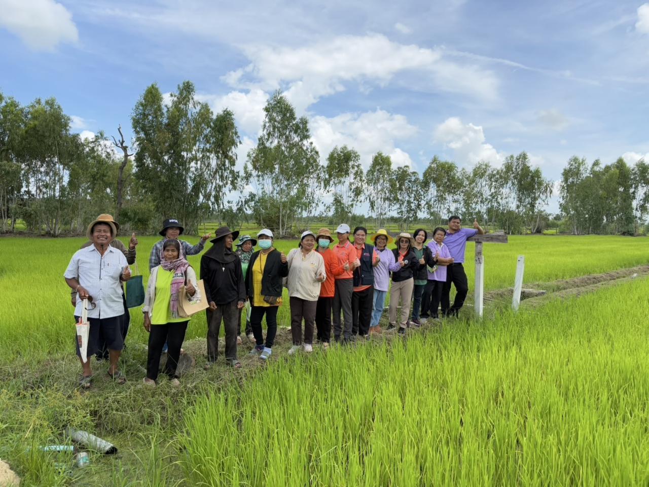 ภาพประกอบที่ 11