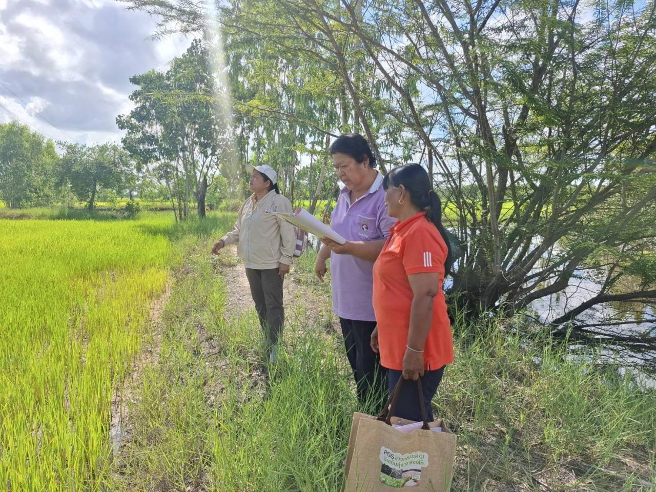 ภาพประกอบที่ 12