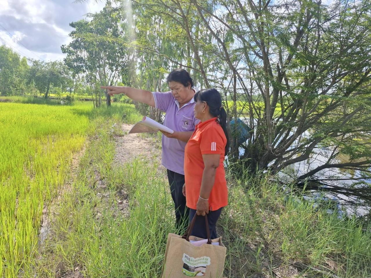 ภาพประกอบที่ 13