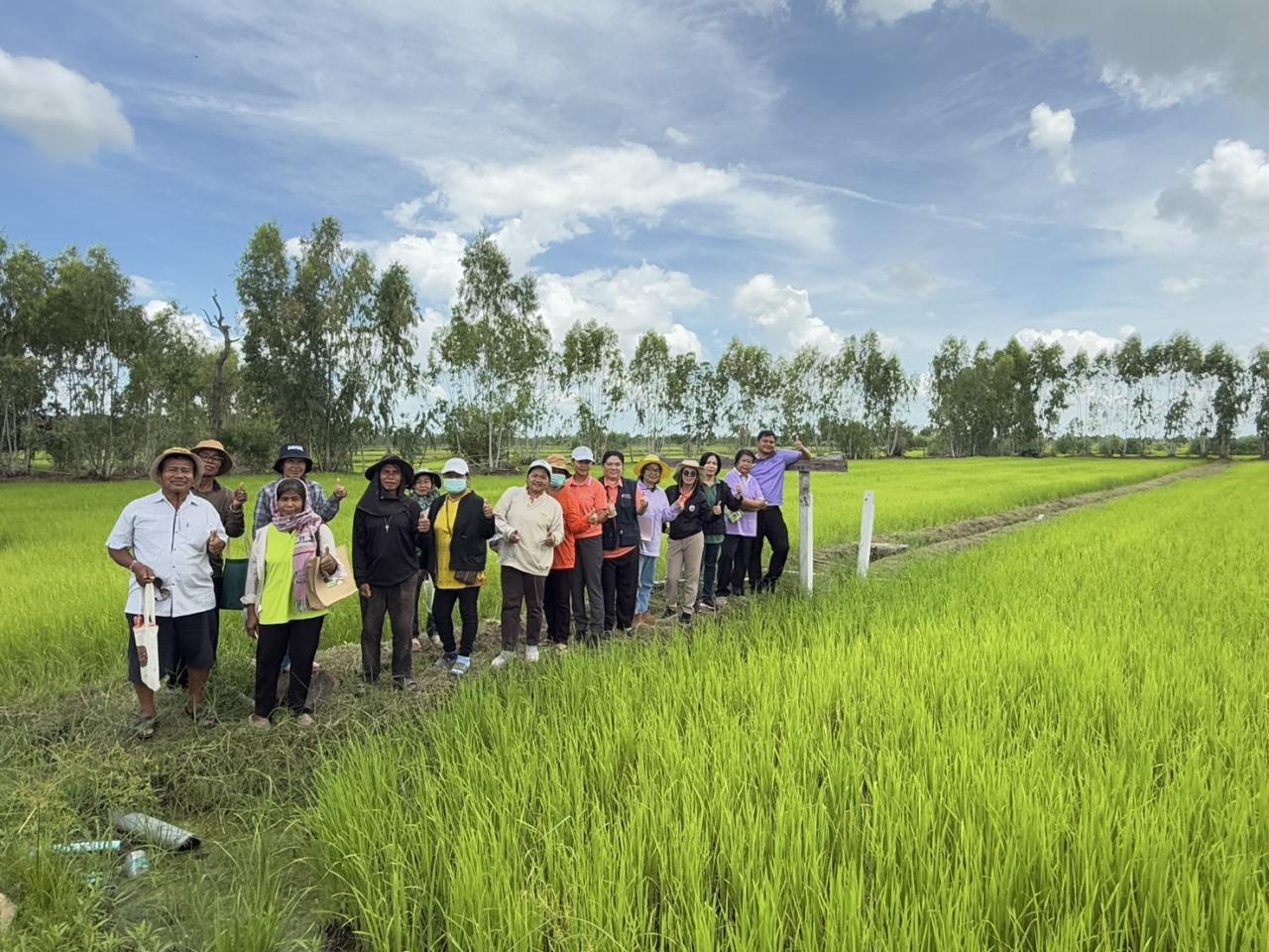 ภาพประกอบที่ 14