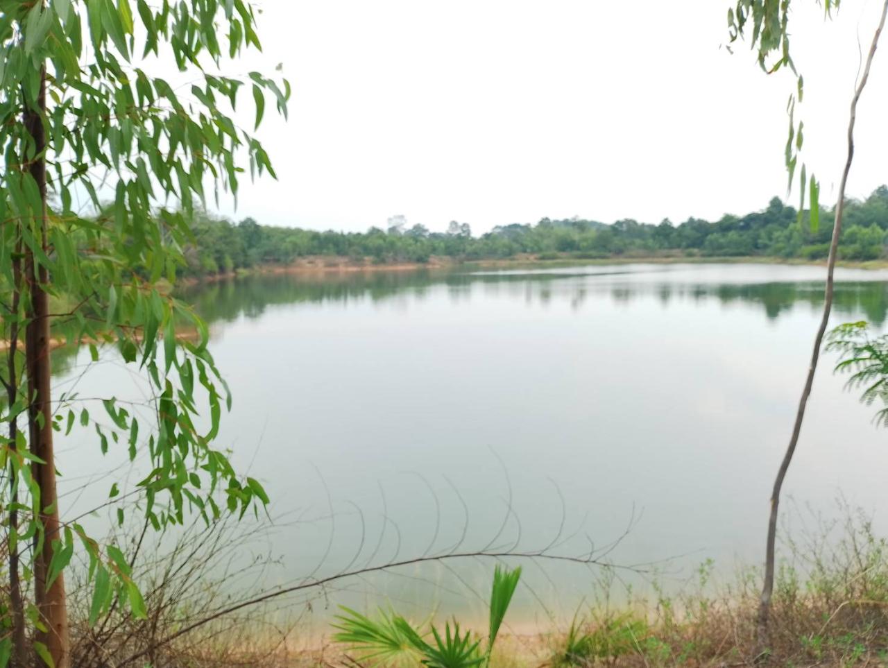 ภาพประกอบที่ 0