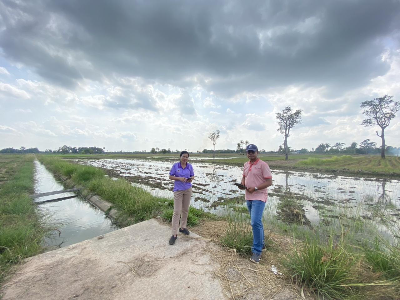 ภาพประกอบที่ 4
