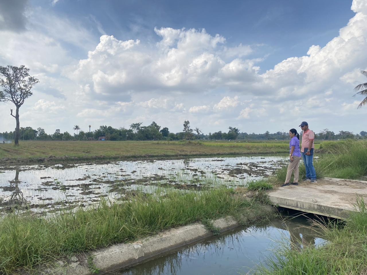 ภาพประกอบที่ 5